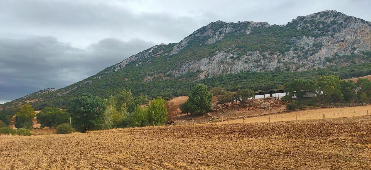 Cortijo Arcos Malaga